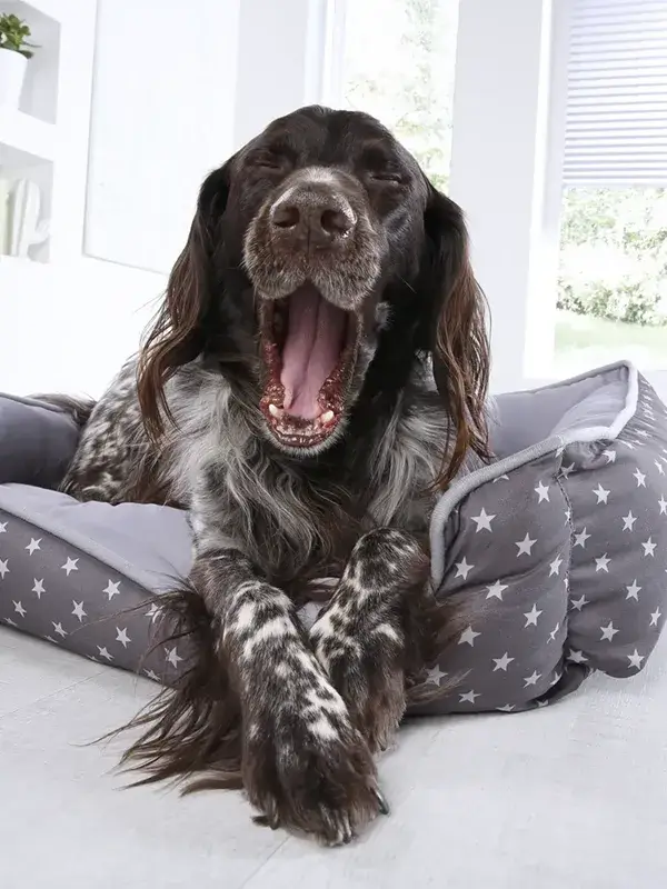 referenzen-textil-24